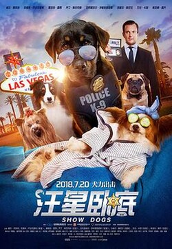 警犬参加犬展比赛，它想要获得冠军，只为了救回被偷走的熊猫#汪星卧底