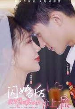 闪婚后被豪门大叔宠上瘾